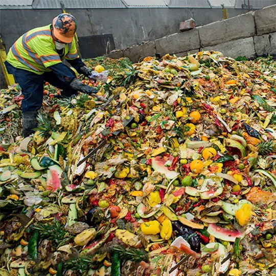 food waste worker for Commercial composting